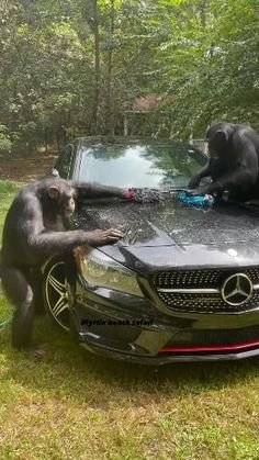 93282b5c291c13e338702655607d034f.jpg
