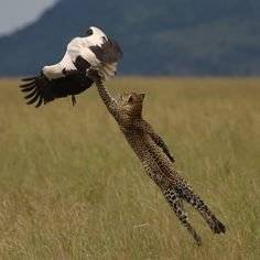 989d35fcd46aace6d324e7aba2bcdbc5.jpg