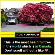 9a971fe22d4c3916fa8416572d7357ce.jpg