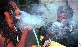 _1076641_rastas300.jpg