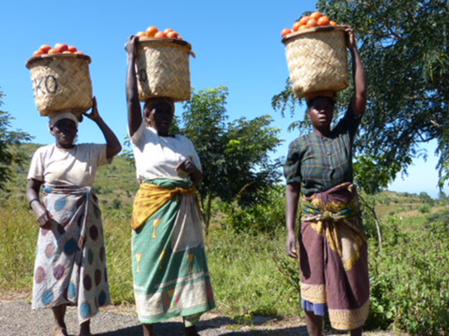africa-lake-malawi-weekend-056.jpg