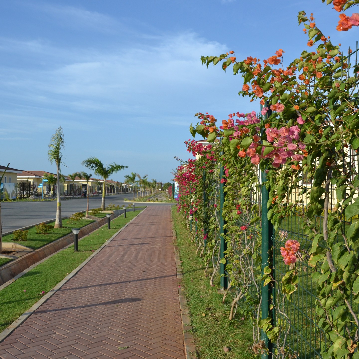avictown_dar-20240622-0005.jpg
