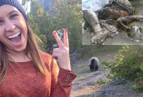 bear-selfie_3089273b2.jpg