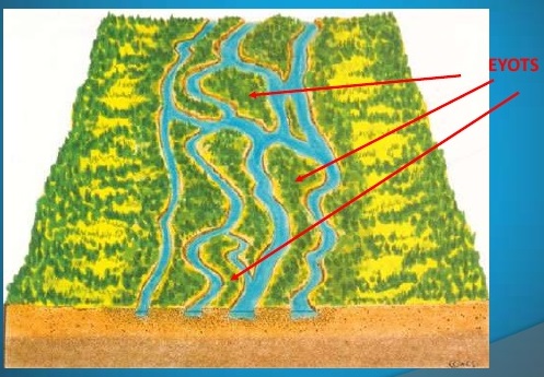 Braided_Channels-_eyots.jpg