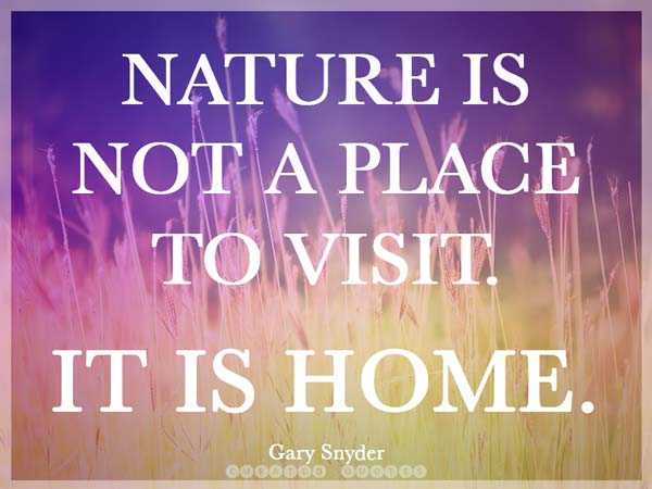C__Data_Users_DefApps_AppData_INTERNETEXPLORER_Temp_Saved Images_nature-quotes.jpg