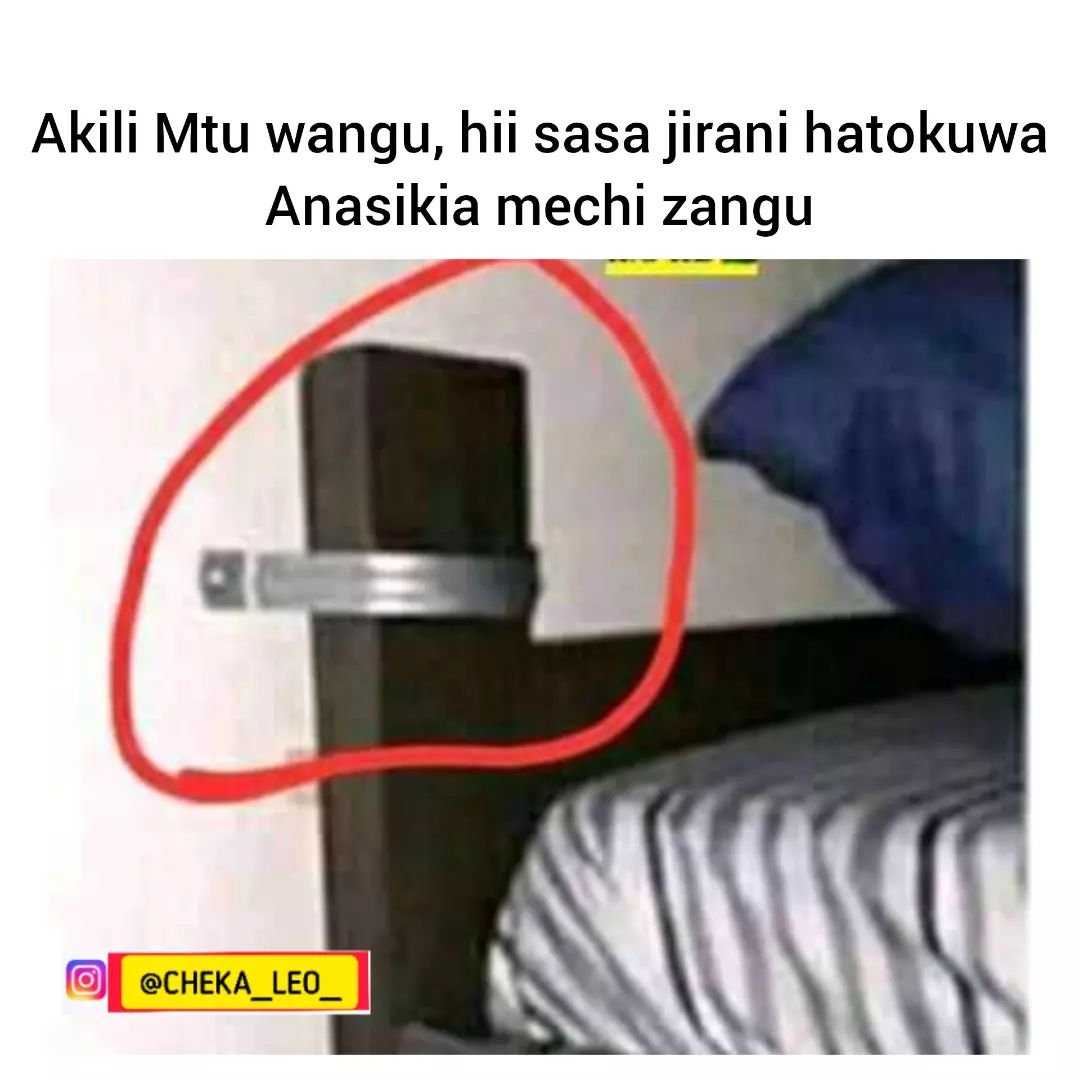 cheka_leo_~p~Caer4OzKZ2r~1.jpg