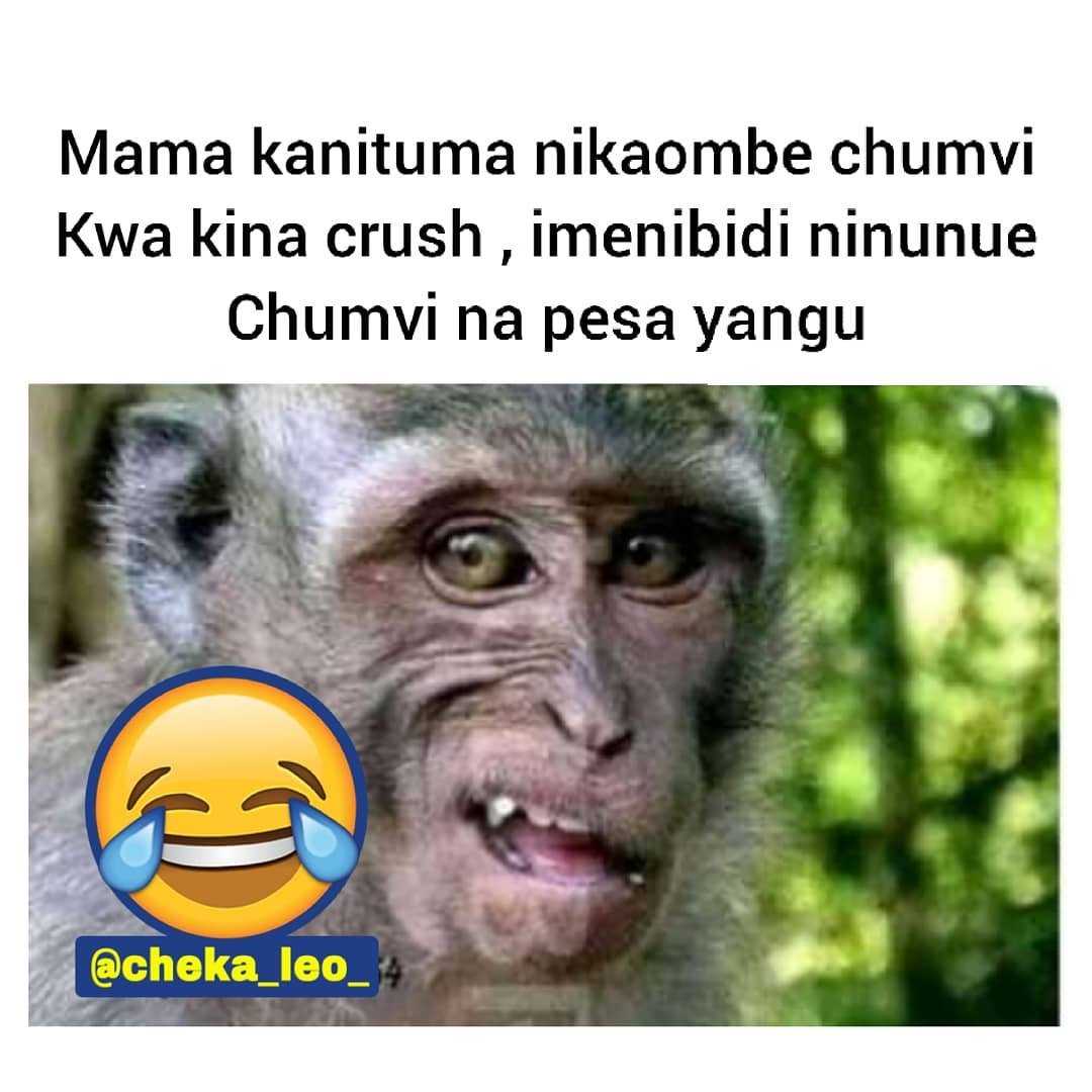 cheka_leo_~p~CWsXgVBKzzm~1.jpg