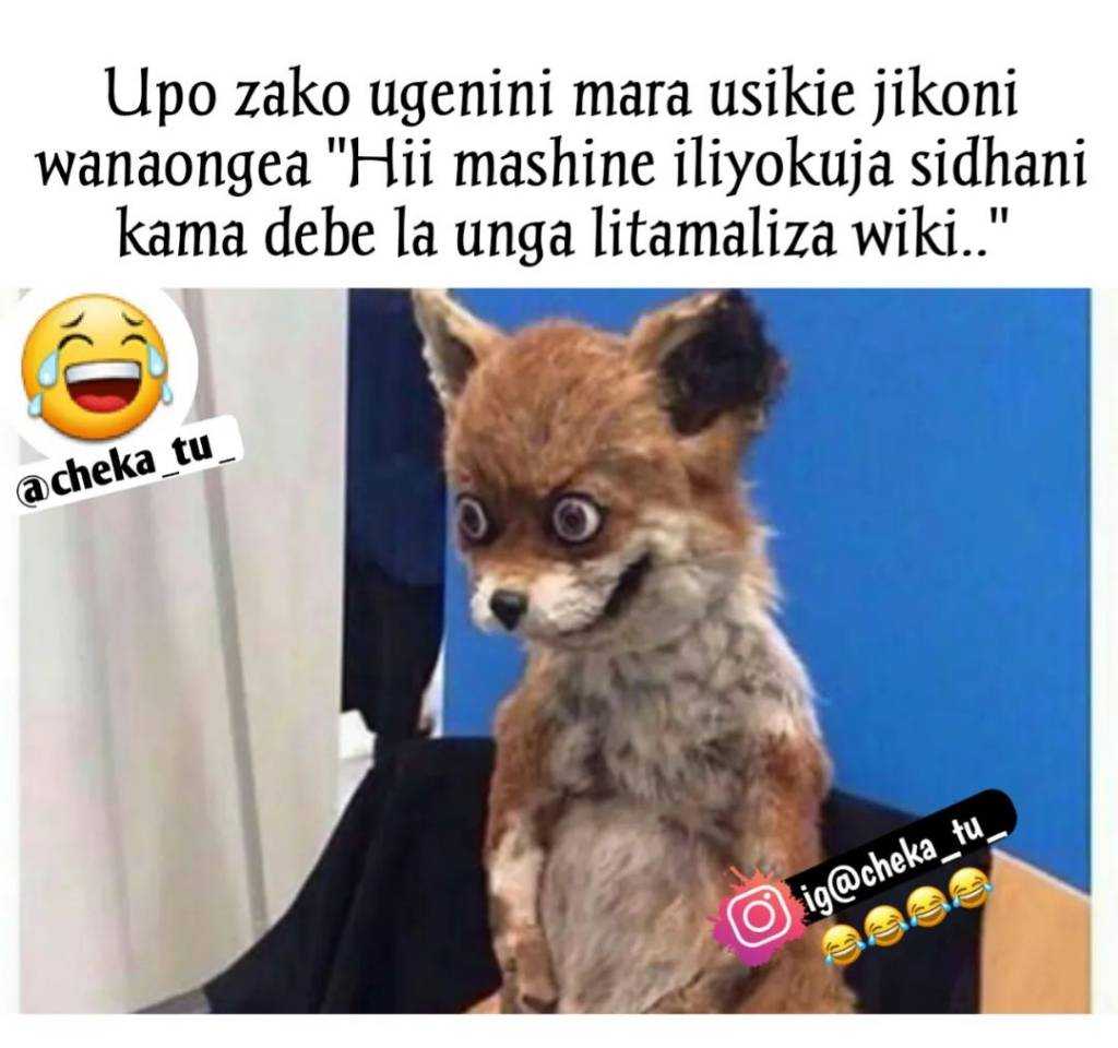 cheka_tu_~p~CjXwp-kqD0M~1.jpg