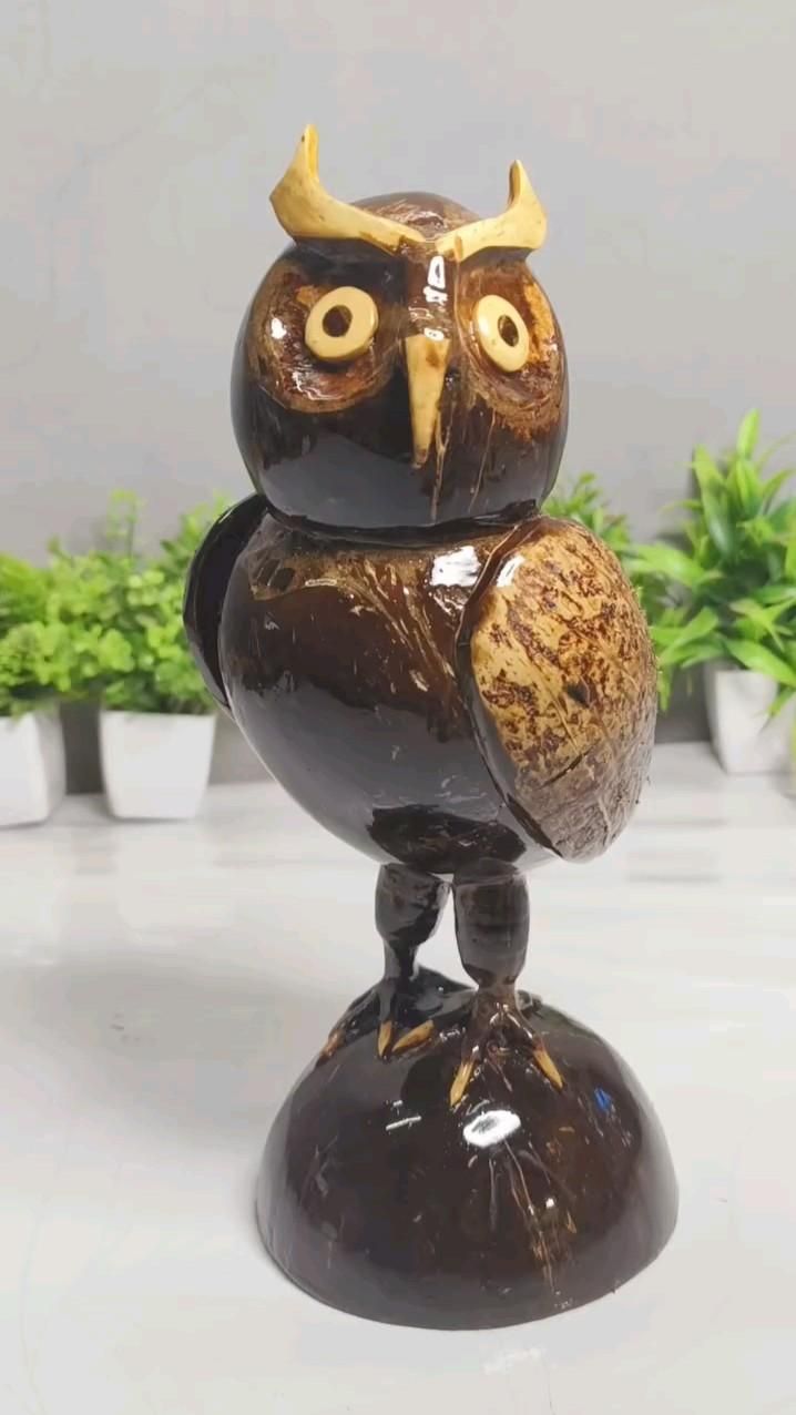 cocunut shell craft _ owl _ shells craft.jpeg