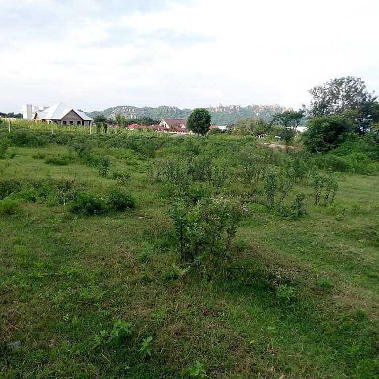 dalalingosha_mwanza_4___B8wSGTxAlLu___.jpeg