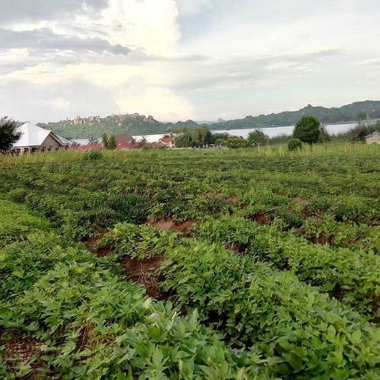 dalalingosha_mwanza_8___B8wSGTxAlLu___.jpeg