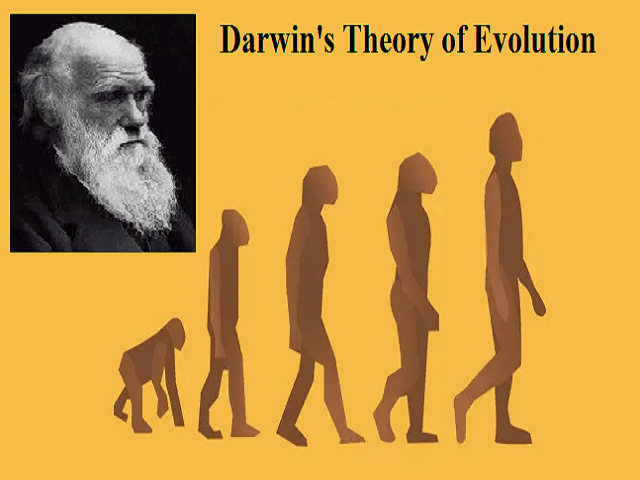 Darwins-Theory-of-Evolution-2.png