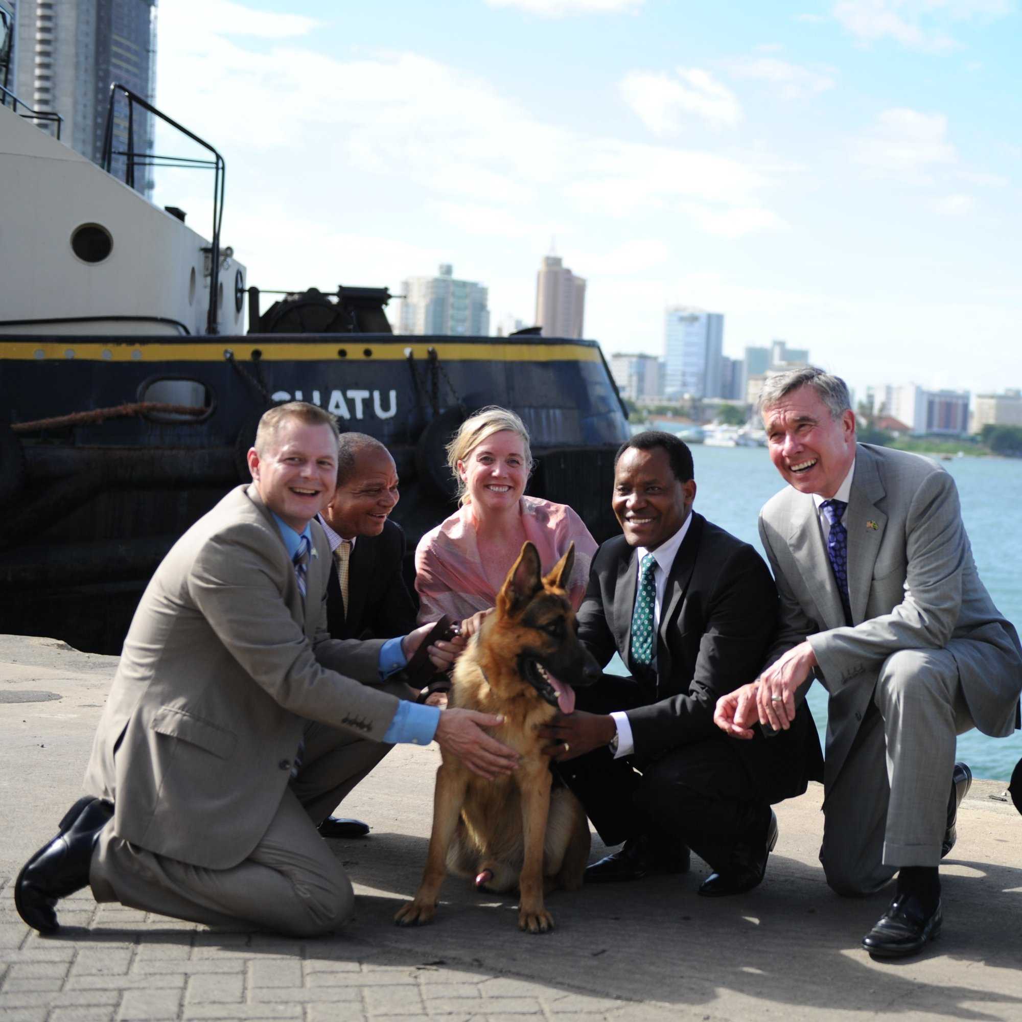 dog_program_600px.jpg