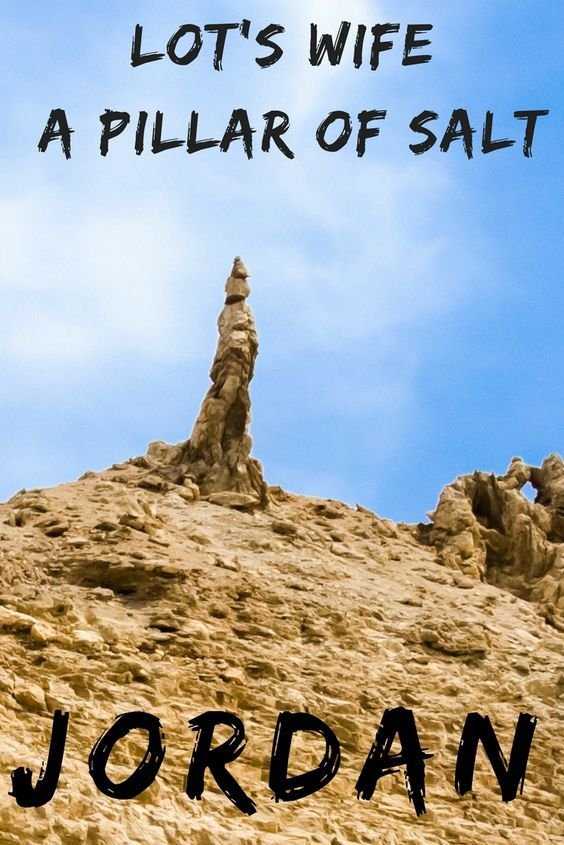 downloadfile-1.jpg