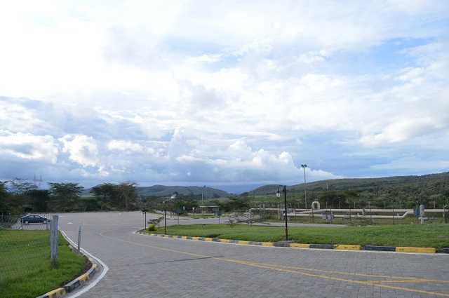 DSC_0244.jpg