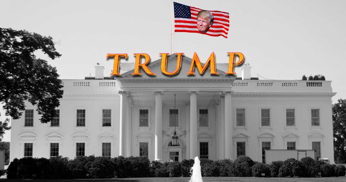dt.jpg