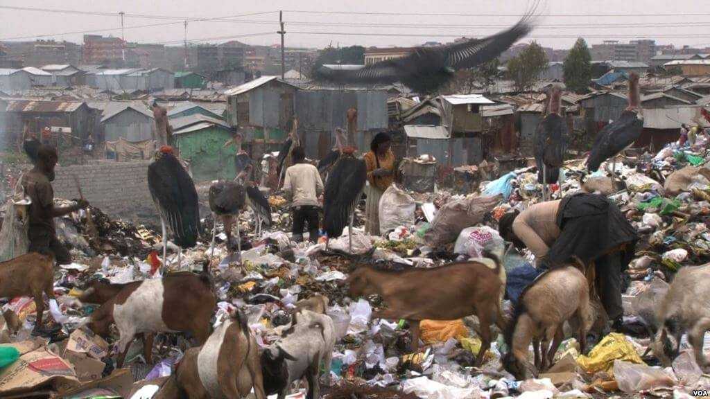 Dumpsite.jpg