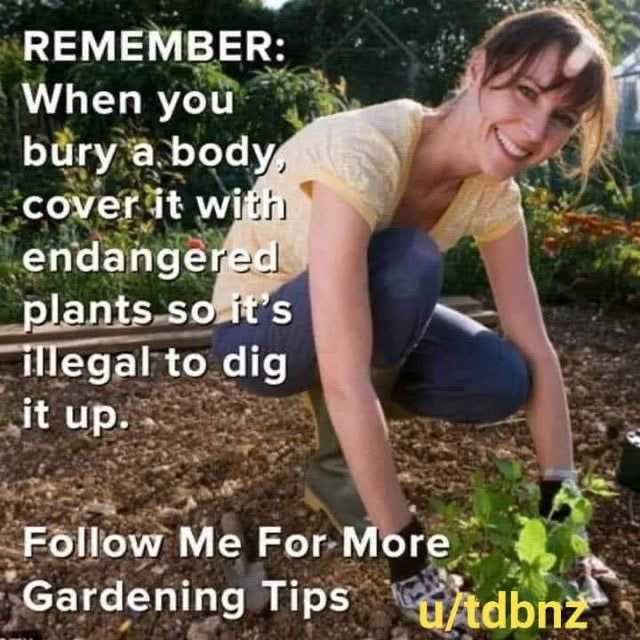 E7D3BC81-DB90-4EF4-836F-DE2D6CAD9FB7.jpeg