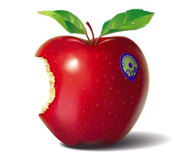 Eaten Apple.jpg