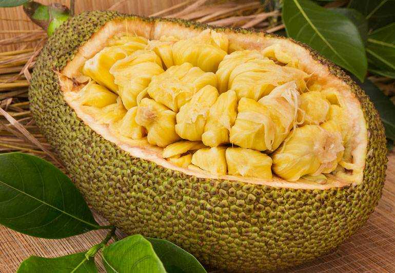 eatJackfruit-823672534-770x533-1.jpg