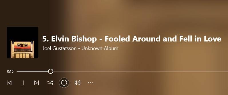 elvin bishop.jpg