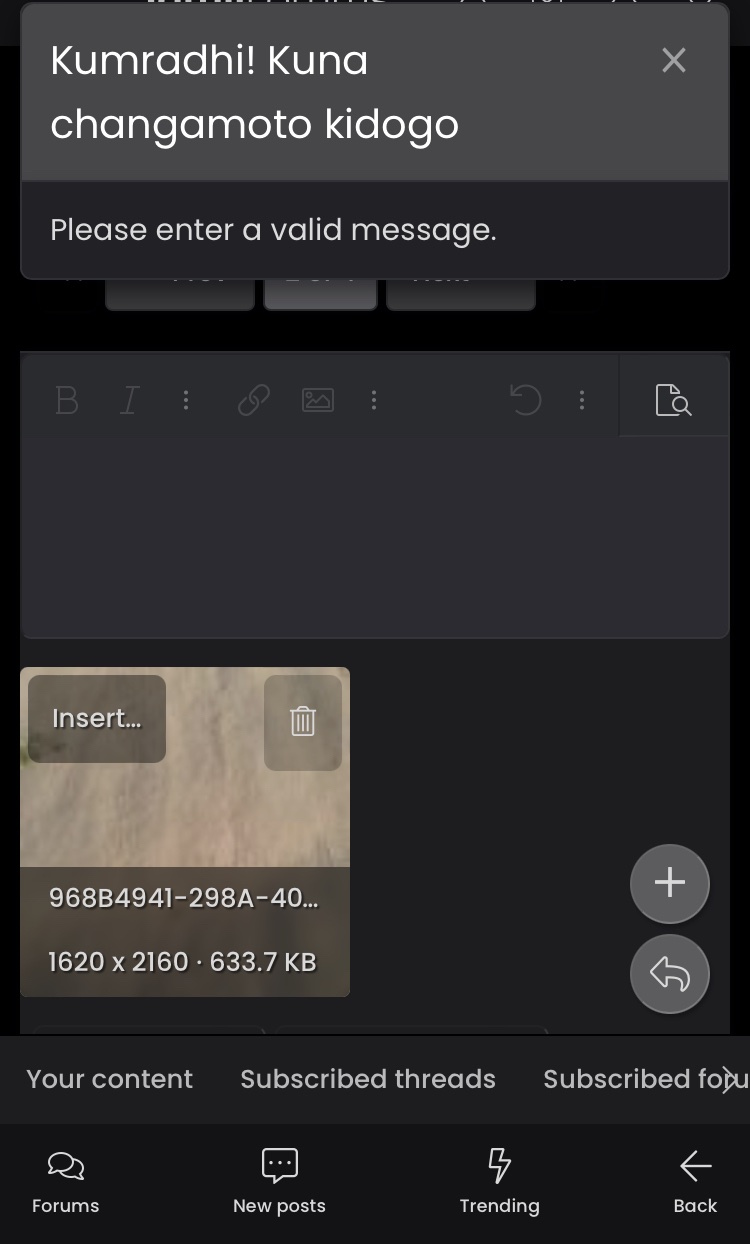 F49CCBD2-52BD-4B7B-A68B-185E26941DE6.jpeg