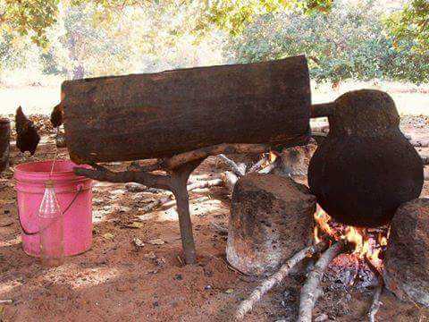 FB_IMG_1475419255595.jpg