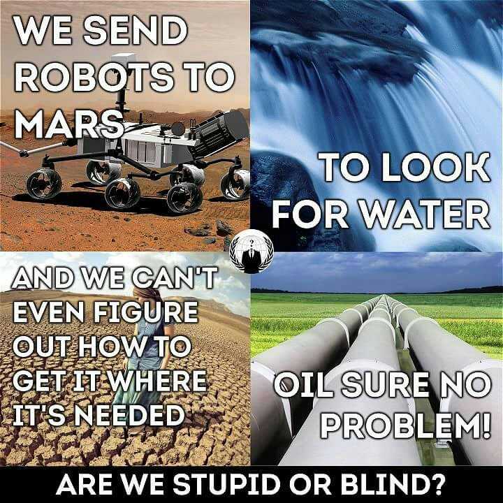 FB_IMG_1486714539355.jpg