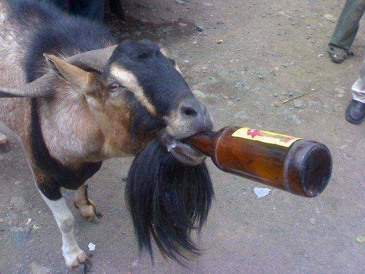 FB_IMG_1546702837159.jpg