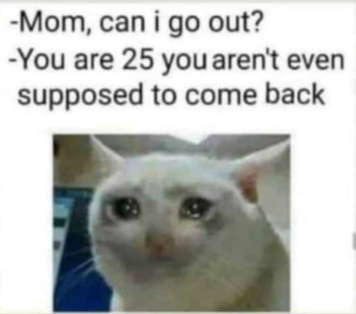 FB_IMG_1579371593273.jpeg