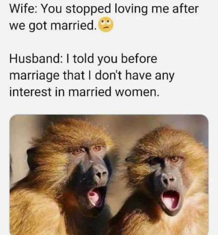 FB_IMG_1579445674473.jpeg