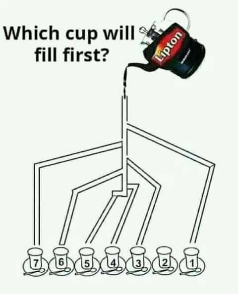 FB_IMG_1603285458560.jpg