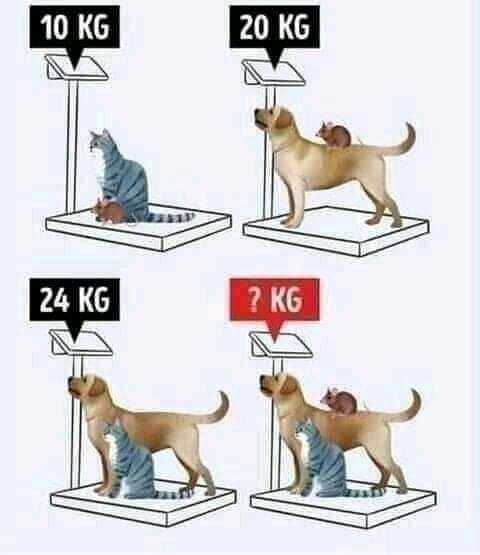 FB_IMG_1607864557511.jpg