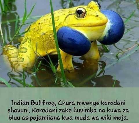 FB_IMG_1619013611488.jpg