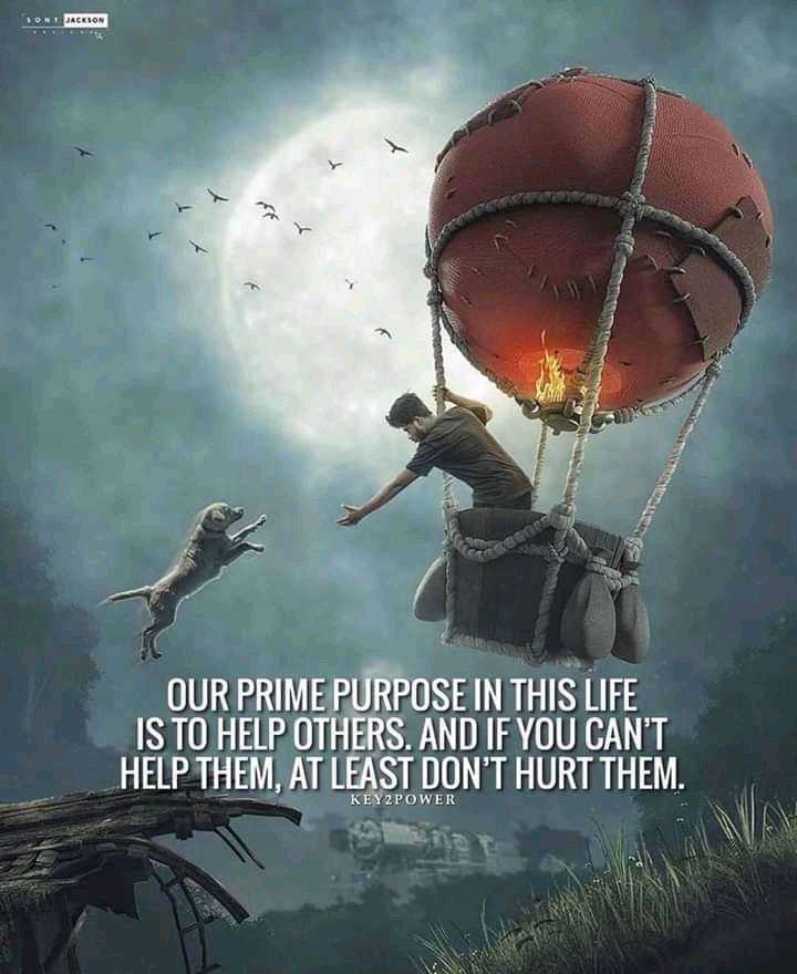 FB_IMG_16240169531205866.jpg