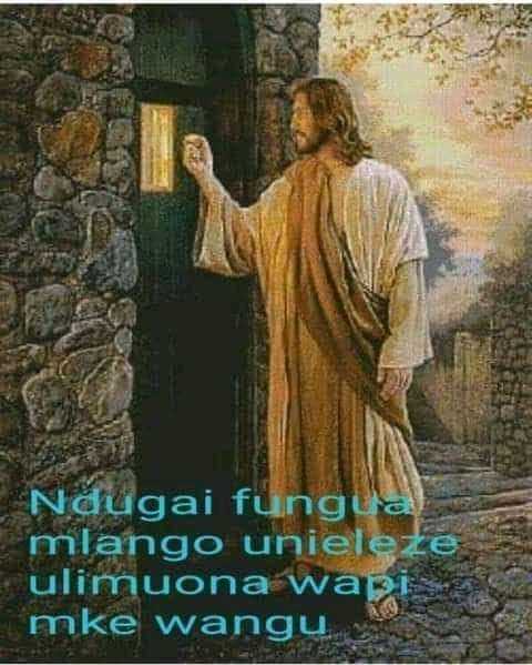 FB_IMG_16310431949287831.jpg