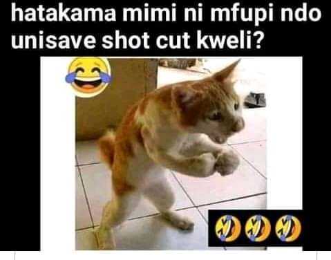 FB_IMG_16319757110947695.jpg