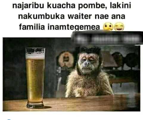 FB_IMG_16385311153546071.jpg