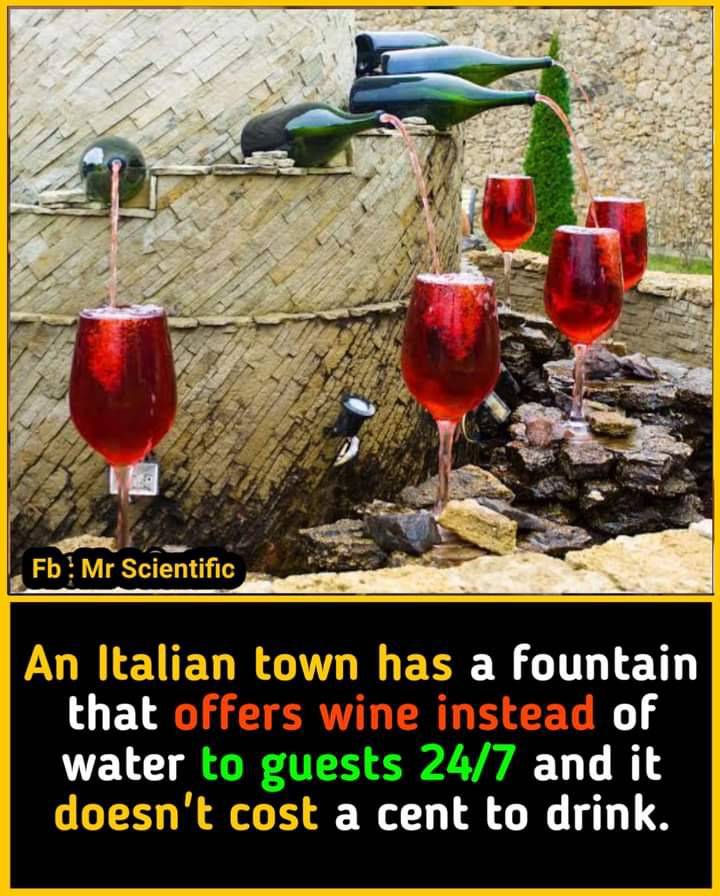 FB_IMG_1643287486266.jpg