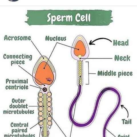 FB_IMG_1644145659655.jpg