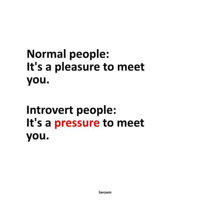FB_IMG_16462587469656585.jpg