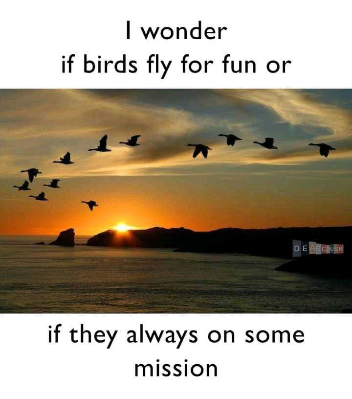 FB_IMG_16468989785312875.jpg