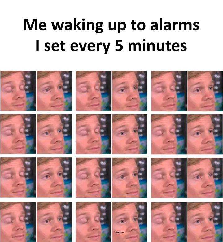 FB_IMG_16549281228381309.jpg