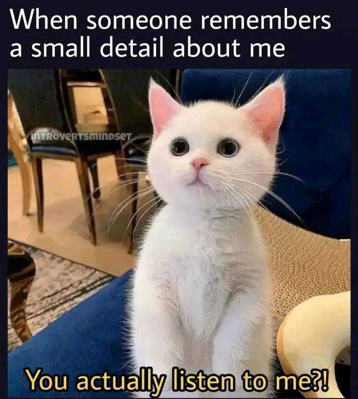 FB_IMG_16552958422986598.jpg
