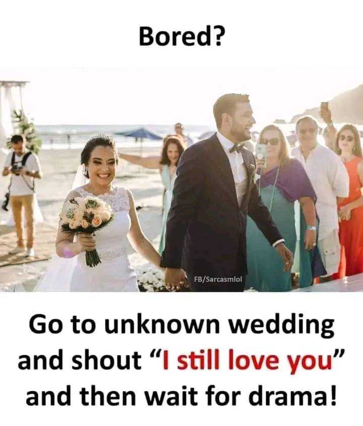 FB_IMG_16556356269135482.jpg