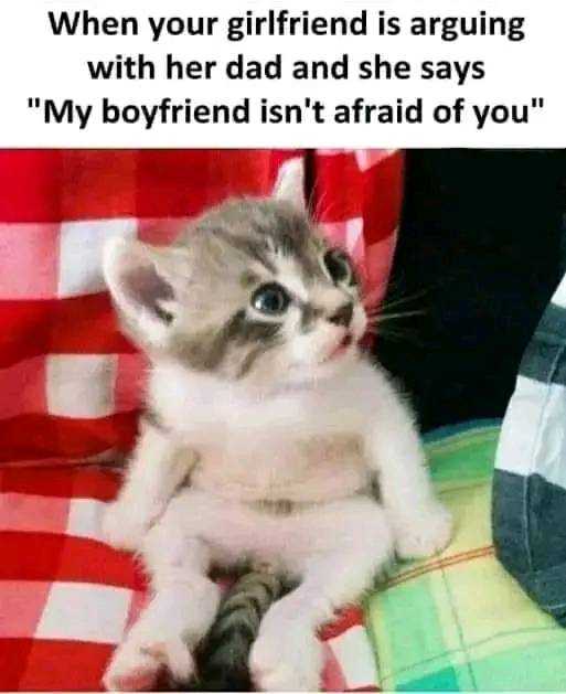 FB_IMG_16582321168471588.jpg