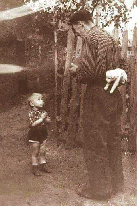 FB_IMG_1658674745157.jpg