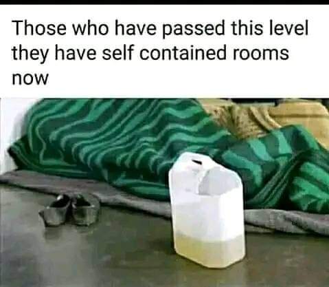 FB_IMG_1706386346634.jpg
