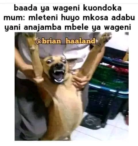 FB_IMG_17070687444054714.jpg