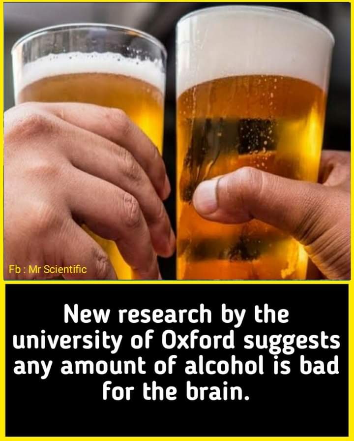 FB_IMG_1709916857153.jpg